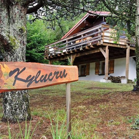 Chalet Kylucru 6 personnes classé 2 étoiles Villa Xonrupt-Longemer Exterior foto