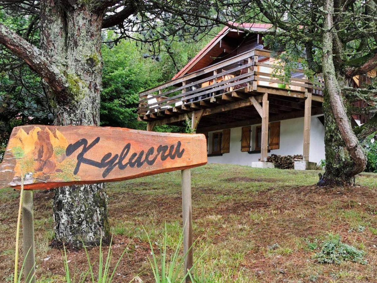 Chalet Kylucru 6 personnes classé 2 étoiles Villa Xonrupt-Longemer Exterior foto